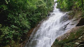 Rapid fresh water falling from the top of the mountain through the rocky cliff surrounded by green plants in tropical rainforest. Stunning waterfall in Phang Nga Province, Thailand. video