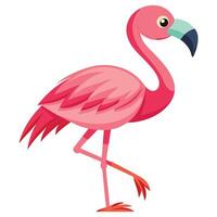 flamingo cartoon illustration vector