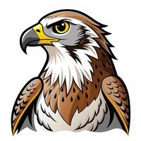 a hawk head with a yellow beak and brown feathers vector