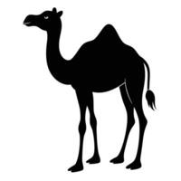 a camel silhouette is shown in black on a white background vector