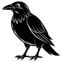 a black and white drawing of a crow vector