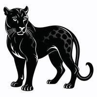 black panther standing on white background vector