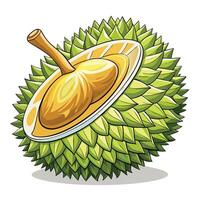 durian fruit with a spoon on a white background vector