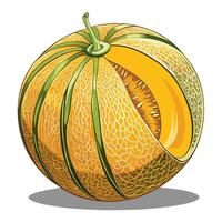 a melon with a cut in it and a slice vector