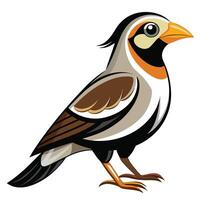 illustration of a sparrow bird isolated on white background vector