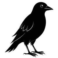 black silhouette of a crow on a white background vector