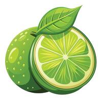 a lime with a leaf on it and a half cut in half vector