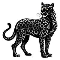 a black and white cheetah is standing in front of a white background vector