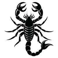 scorpion black silhouette on white background vector