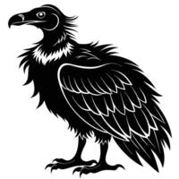 vulture silhouette on white background vector