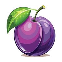 a purple plum fruit with a leaf on it vector
