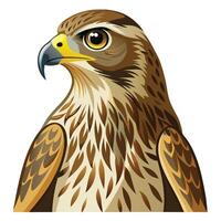 a hawk with a yellow beak and brown feathers vector