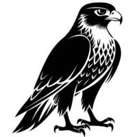 a black and white illustration of an eagle vector