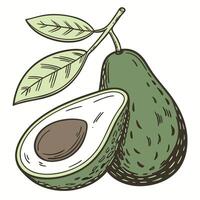 an avocado with leaves and a half cut in half vector