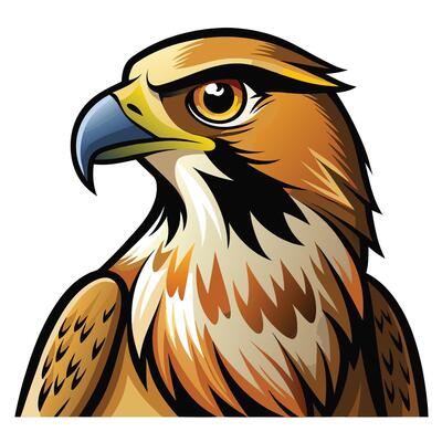 a cartoon illustration of a hawk