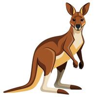 a cartoon kangaroo standing on one leg vector