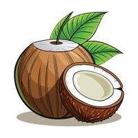 coconut with leaf and half illustration vector