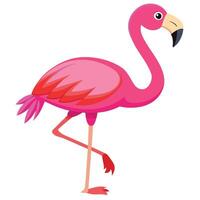 a cartoon flamingo standing on one leg vector