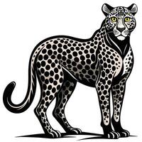 a leopard standing on a white background vector