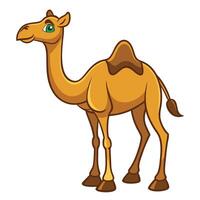 cartoon camel isolated on white background vector