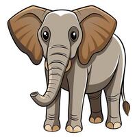 an elephant is standing in front of a white background vector