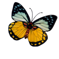 beautiful butterfly with transparent background png