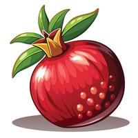 illustration of a red pomegranate vector