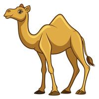 cartoon camel isolated on white background vector