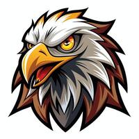 an eagle head with a big beak and yellow eyes vector