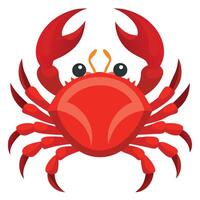 a red crab on a white background vector