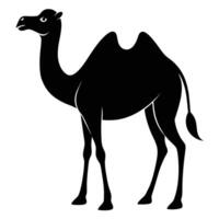 a camel is standing in a black silhouette on a white background vector