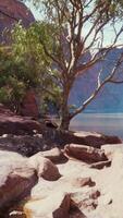 landscape with red sandstone rock and river video