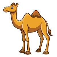 cartoon camel isolated on white background vector