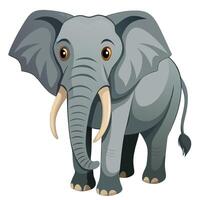 an elephant with tusks standing in front of a white background vector