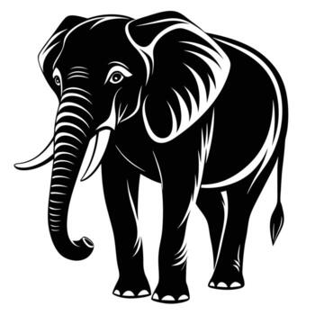 an elephant is standing in front of a white background vector