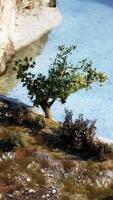 beach and limestone cliffs against azure water video