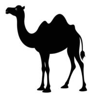 a camel is standing in a black silhouette vector
