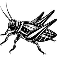 a black and white illustration of a grasshopper vector