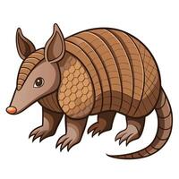 an armadillo with a long tail and a long body vector