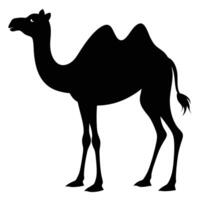 a camel silhouette is shown in black on a white background vector