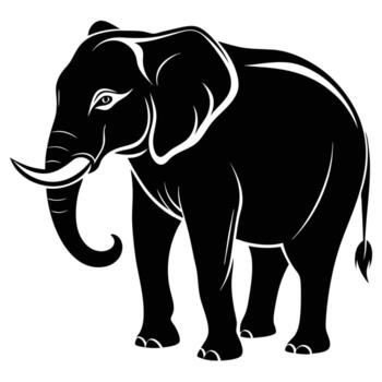 an elephant is standing in front of a white background vector