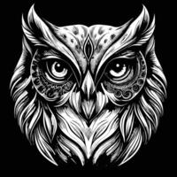 an owl head with a black background vector