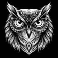 an owl head with large eyes on a black background vector
