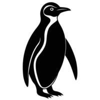 a penguin is standing in front of a white background vector