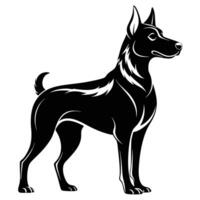 a black and white dog standing on a white background vector