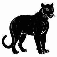 a black panther standing on a white background vector