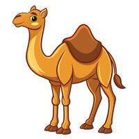 cartoon camel isolated on white background vector