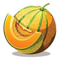 a melon is cut in half and has a green leaf vector
