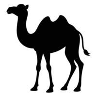 a camel silhouette is shown in black on a white background vector
