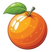 orange fruit illustration isolated on white background vector